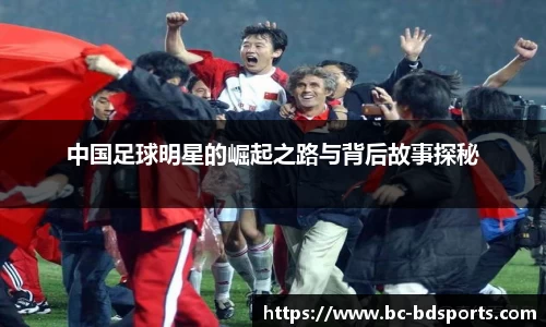 半岛体育官方网站